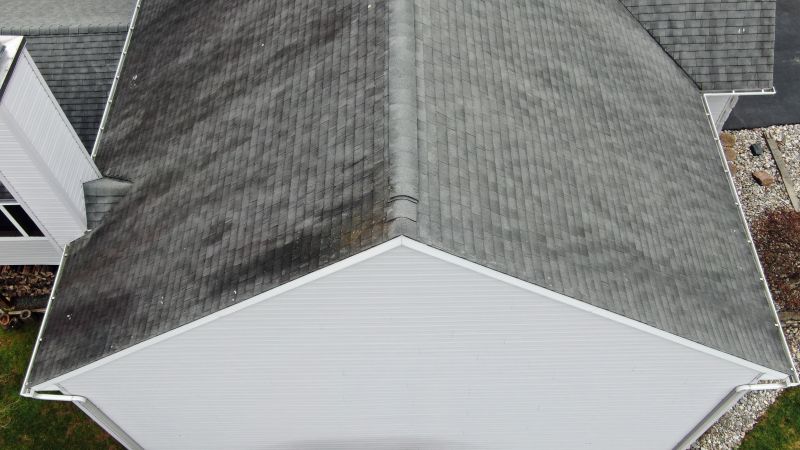 Detailed Roof Assessment